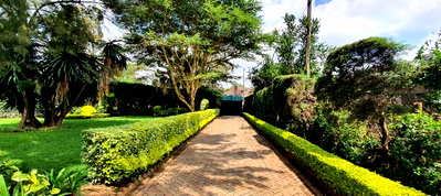 1/2 Acre Office Space with Garden