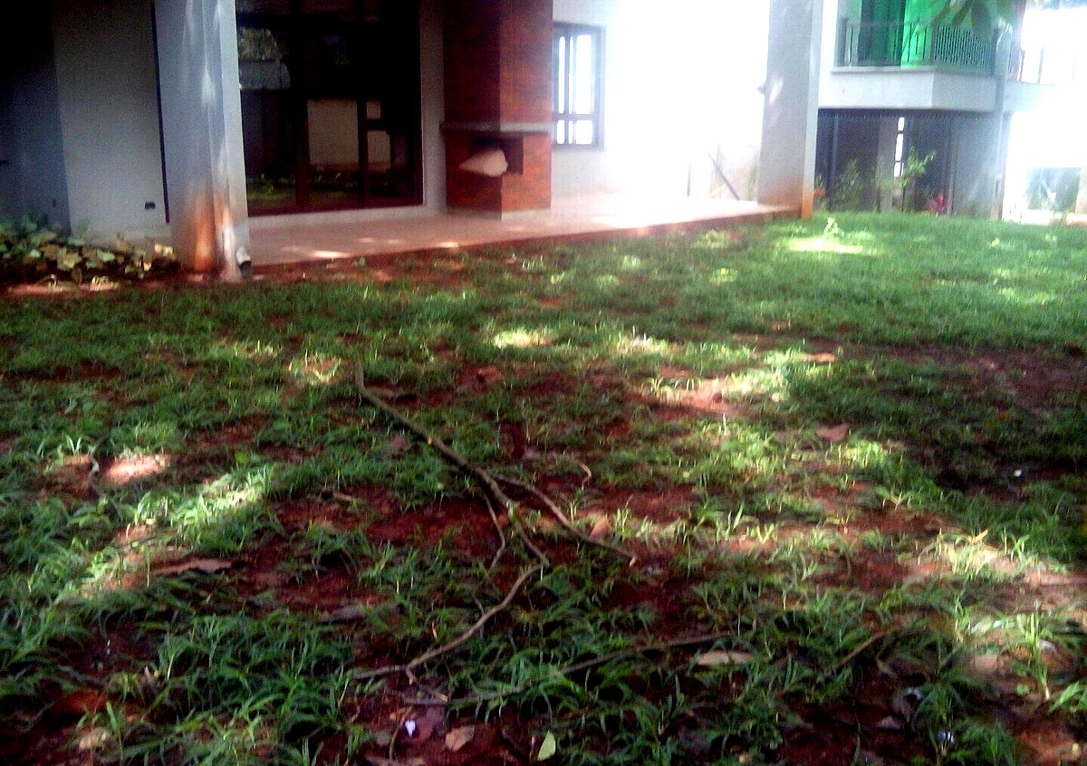 5-Ensuite Townhouse with Generator & Mature Garden - Lavington