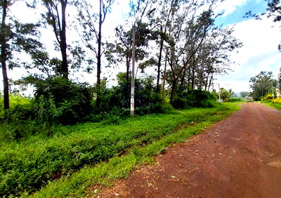 0.64 Acre Plot in Thindigua