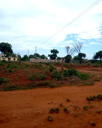 Kilifi's 1/4 Acre Gem at KSh 3.5M