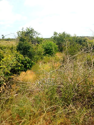 Malindi 5000 Acre Land on Sale - Image 2