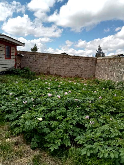 Plot With a House on Sale at Magumu Kinangop - Image 15