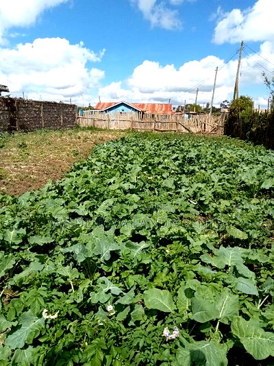 Plot With a House on Sale at Magumu Kinangop - Image 2