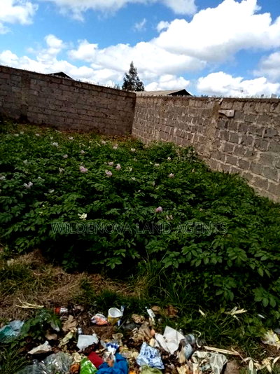 Plot With a House on Sale at Magumu Kinangop - Image 13