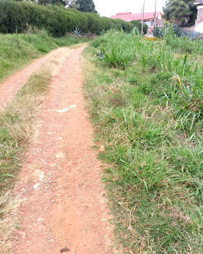 1/8 Acre Plot in Nyeri Town with Garden