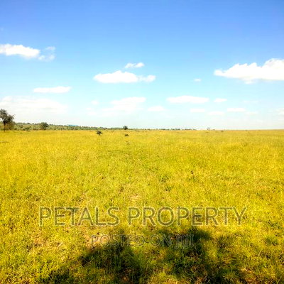 50 Acres for Sale in Kajiado - Image 4