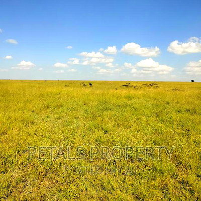 50 Acres for Sale in Kajiado - Image 5