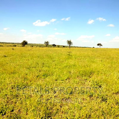 50 Acres for Sale in Kajiado - Image 6