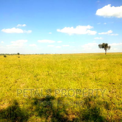 50 Acres for Sale in Kajiado - Image 3