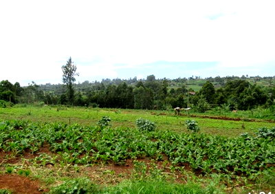3.2-Acre Land in Kiambu for KSh 75M