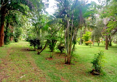 6-Acre Karen Land at KSh 35M