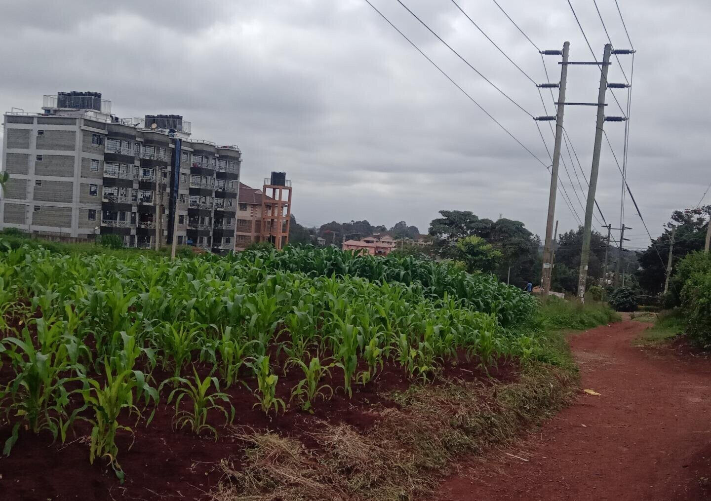 1-Acre Garden Plot at KSh 120M