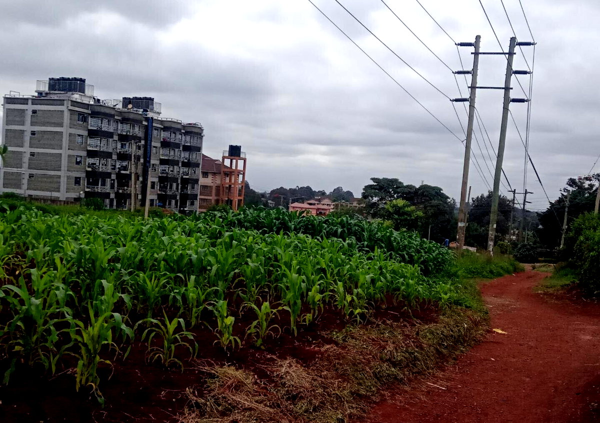 1-Acre Garden Plot at KSh 120M