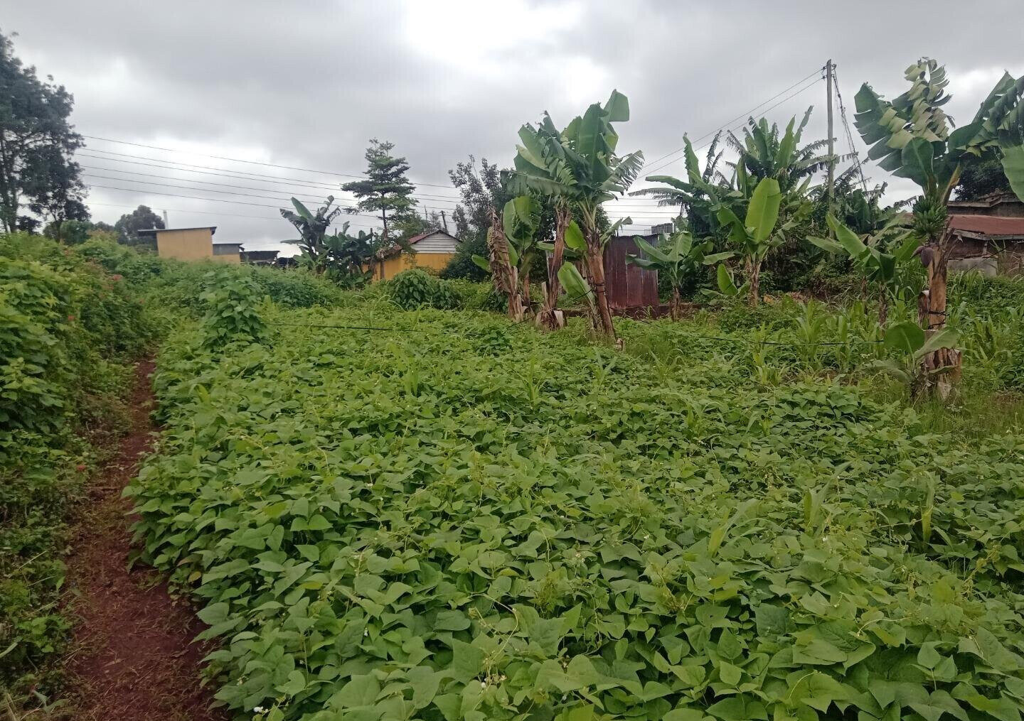 1-Acre Garden Plot at KSh 120M
