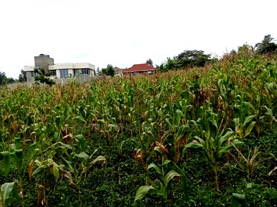 Distress! 1/2 Acre in Olkeri, Ngong in a Gated Community - Image 1