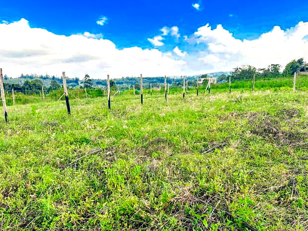 Residential Plot for Sale With Amazing Views in Kikuyu, Rose