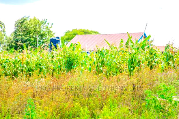 Residential Plots For Sale In Kikuyu, Lusigetti.