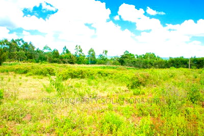 Residential Plots For Sale In Kikuyu, Lusigetti. - Image 4