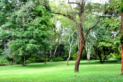 Prime 0.6 Acres Land Westlands - Image 2