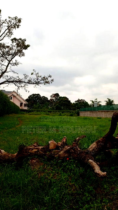 Runda Mumwe, Prime Residential Plot 1/2 Acre - Image 4