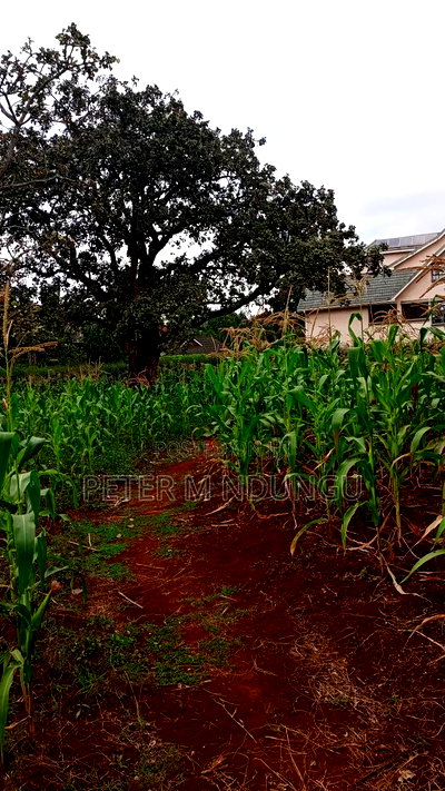 Runda Mumwe, Prime Residential Plot 1/2 Acre - Image 6