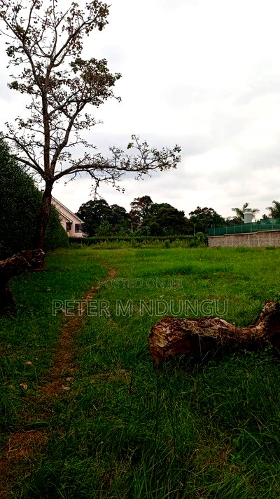 Runda Mumwe, Prime Residential Plot 1/2 Acre - Image 3