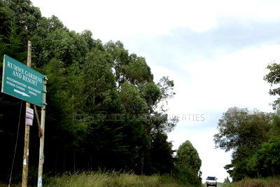 Affordable Land Investment in Kikuyu Nachu - Image 2