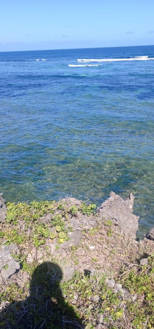 1 Acre Pet Friendly Plot in Kilifi