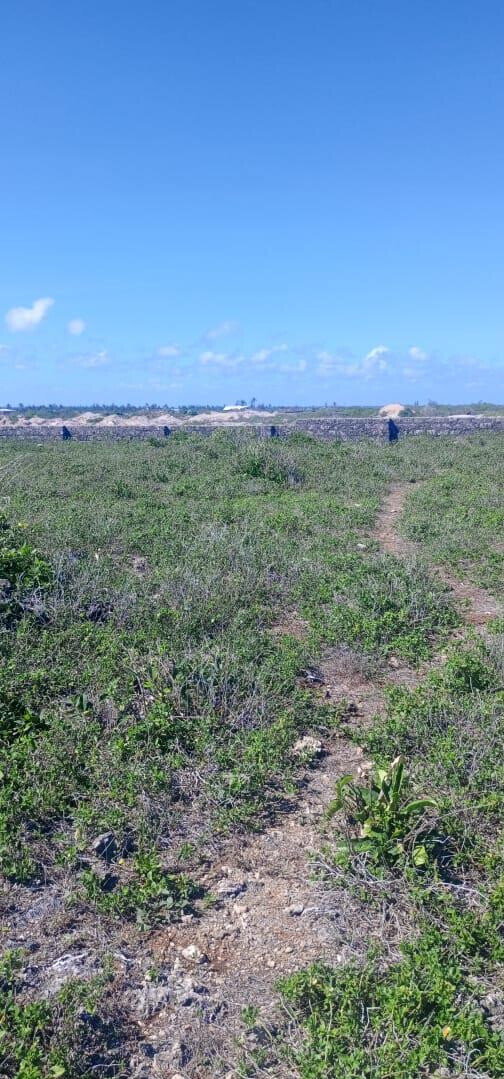 1 Acre Pet Friendly Plot in Kilifi