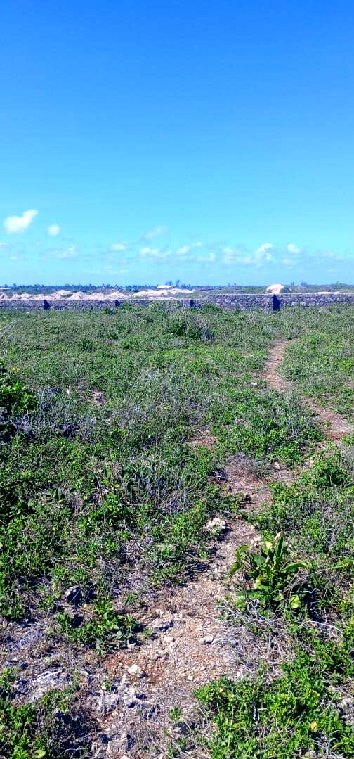 1 Acre Pet Friendly Plot in Kilifi