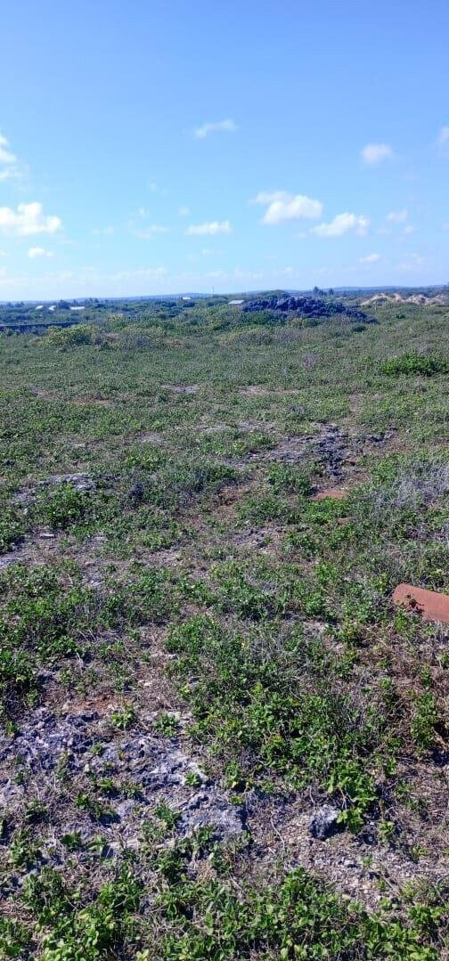 1 Acre Pet Friendly Plot in Kilifi