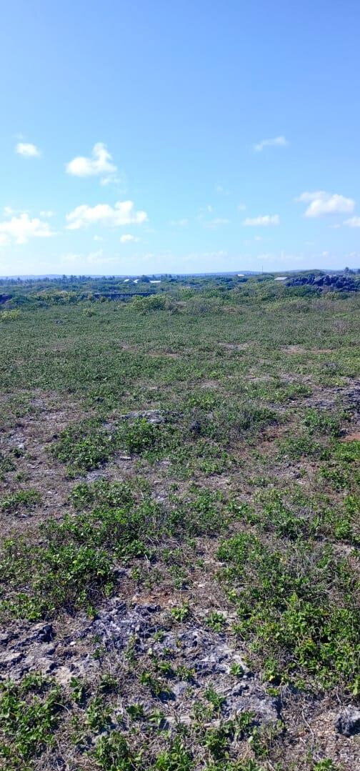 1 Acre Pet Friendly Plot in Kilifi