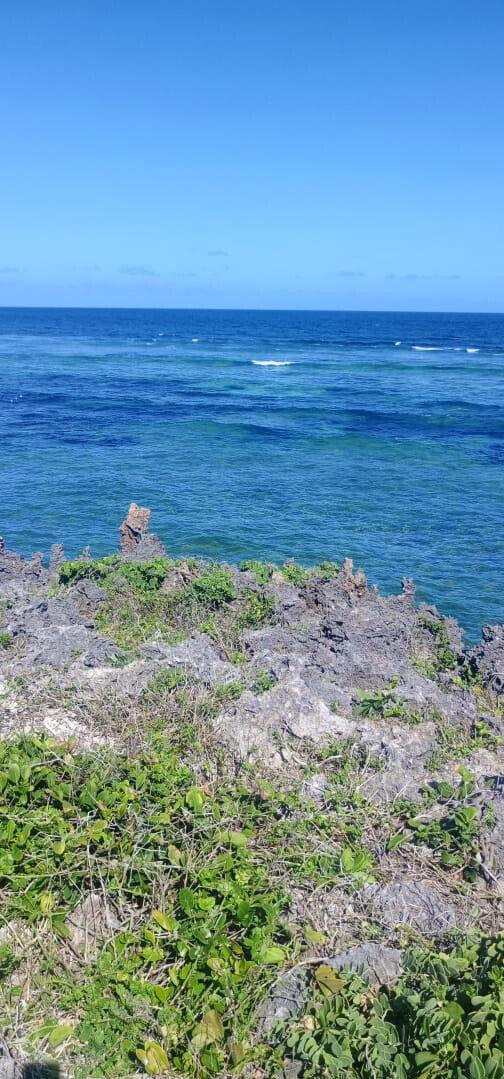 1 Acre Pet Friendly Plot in Kilifi