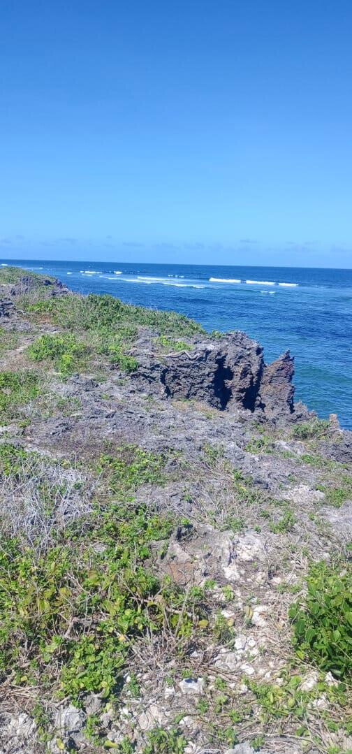 1 Acre Pet Friendly Plot in Kilifi