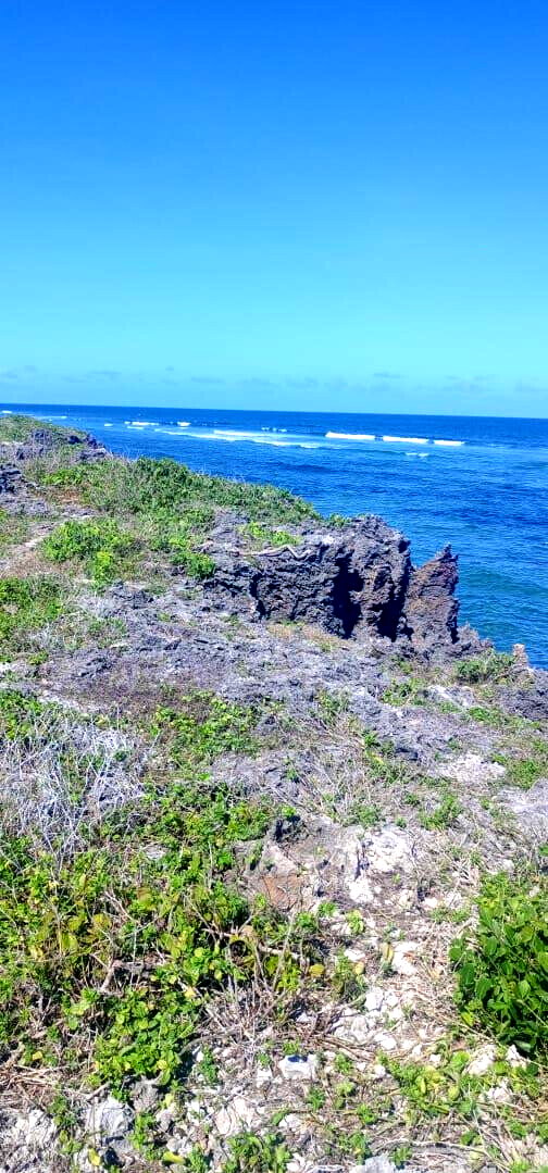 1 Acre Pet Friendly Plot in Kilifi