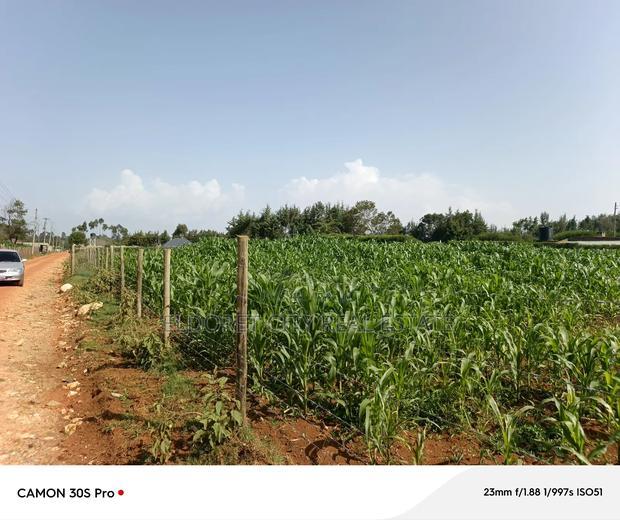 1/2 Acre Rolyton With Title.