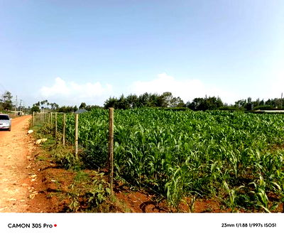 1/2 Acre Rolyton With Title. - Image 2