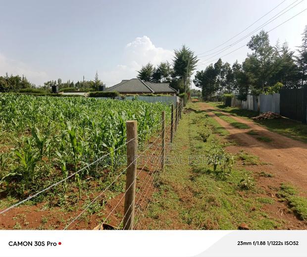 1/2 Acre Rolyton With Title.