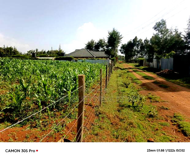 1/2 Acre Rolyton With Title.