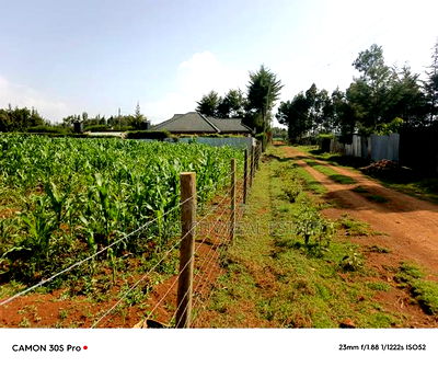 1/2 Acre Rolyton With Title. - Image 1