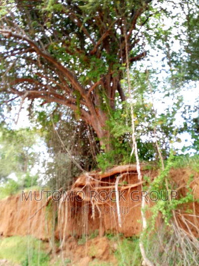 58acres for Sale Touching a Seasonal River - Image 5