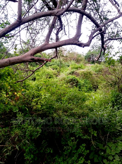 58acres for Sale Touching a Seasonal River - Image 1