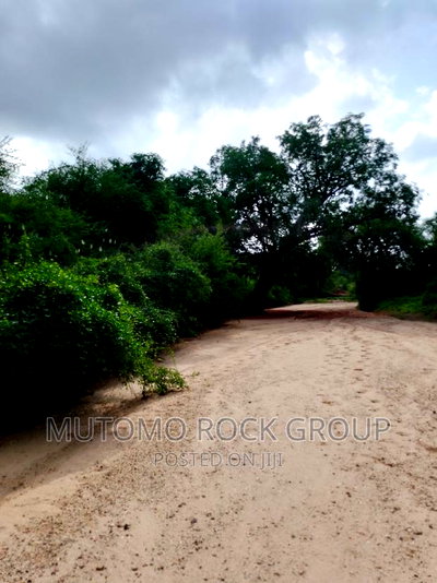 58acres for Sale Touching a Seasonal River - Image 3