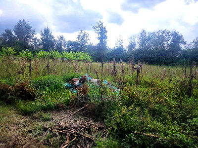 One Acre Rimpa Off Magadi Road - Image 3