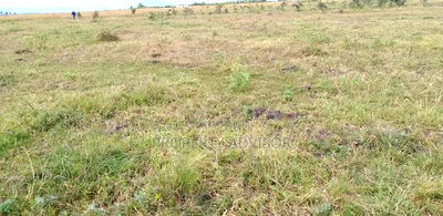 Buy and Build 1/4 Acre Plot in Milimani in Kitengela - Image 3