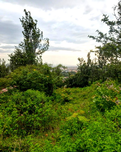 KSh 2.3M Mamboleo Plot