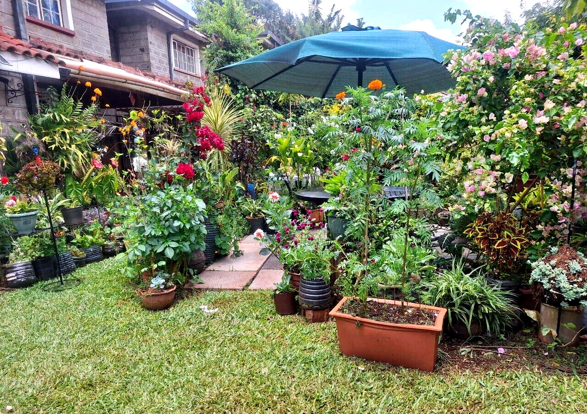 5-Bed Townhouse with Private Garden & DSQ - Lavington