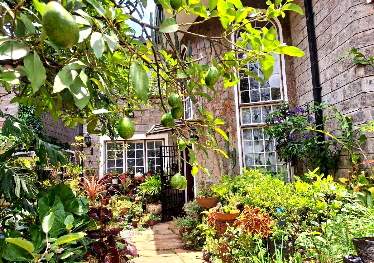 5-Bed Townhouse with Private Garden & DSQ - Lavington