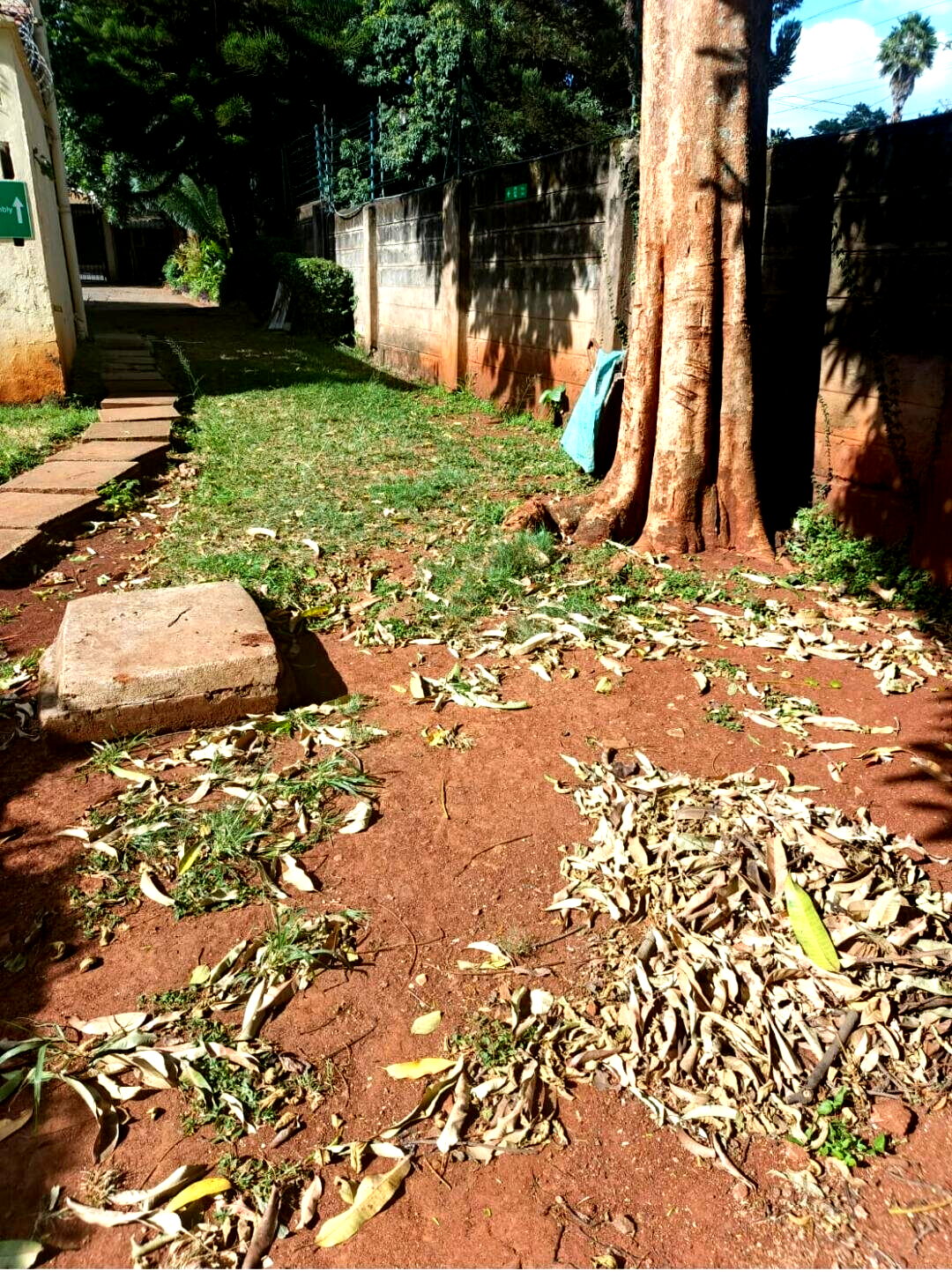 1 Acre Riverside Gem with Garden