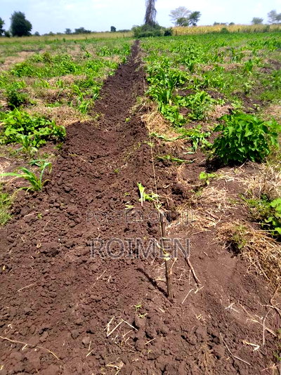 2 Acres With a Borehole. - Image 1